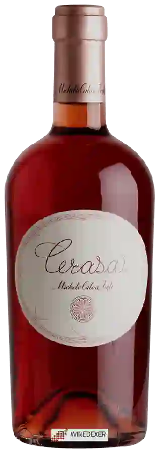 Winery Michele Calò & Figli - Cerasa Rosé