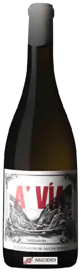 Winery Michelini & Cortes - A'Via Treixadura