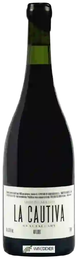 Winery Michelini i Mufatto - La Cautiva