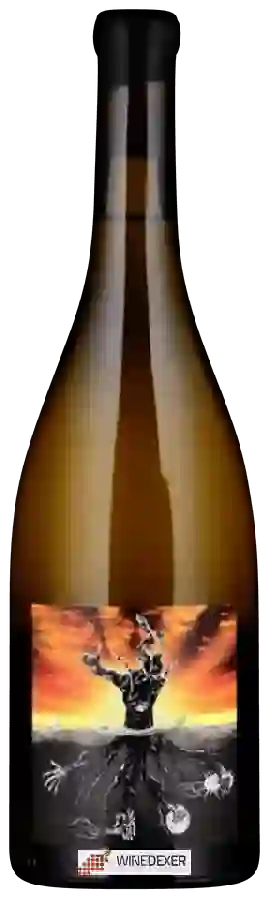 Winery Micro Bio (MicroBio) - Microbio