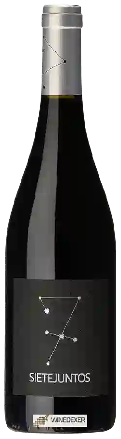 Winery Micro Bio (MicroBio) - Sietejuntos Syrah Winery Micro Bio (MicroBio) - Sietejuntos Syrah