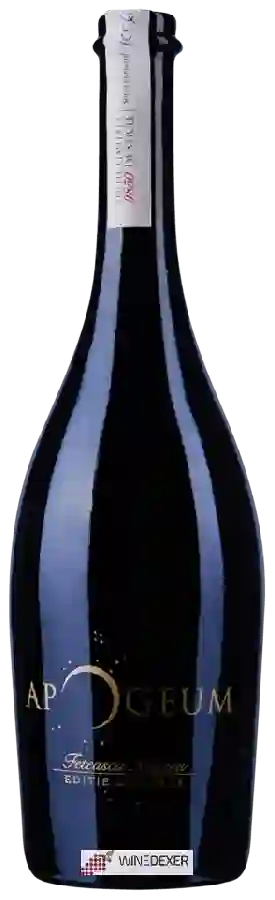 Winery Mierla Albă - Apogeum Winery Mierla Albă - Apogeum