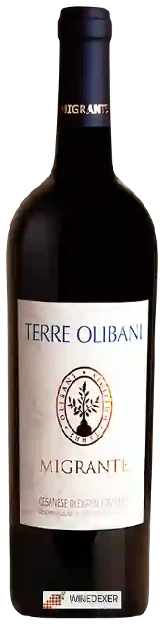 Winery Migrante - Terre Olibani Cesanese di Olevano Romano