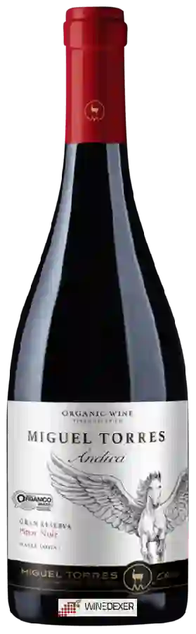 Winery Miguel Torres - Andica Gran Reserva Pinot Noir Winery Miguel Torres - Andica Gran Reserva Pinot Noir
