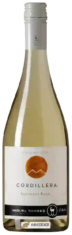 Winery Miguel Torres - Cordillera Sauvignon Blanc Winery Miguel Torres - Cordillera Sauvignon Blanc