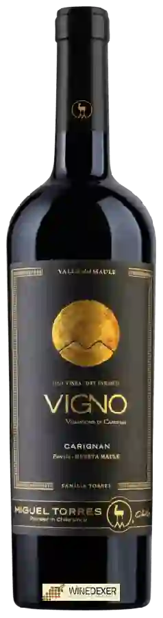 Winery Miguel Torres - Cordillera Vigno Old Vines Carignan