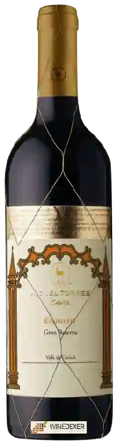 Winery Miguel Torres - Gran Reserva Carmenère Winery Miguel Torres - Gran Reserva Carmenère