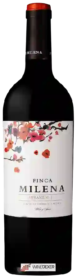 Winery Finca Milena - Tempranillo Winery Finca Milena - Tempranillo