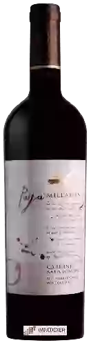 Winery Millaman - Paya de Millaman Cabernet Sauvignon