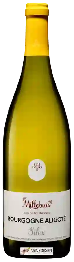 Winery Millebuis - Bourgogne Aligoté Silex Winery Millebuis - Bourgogne Aligoté Silex