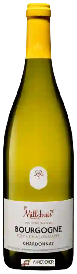Winery Millebuis - Bourgogne Côte Chalonnaise Chardonnay