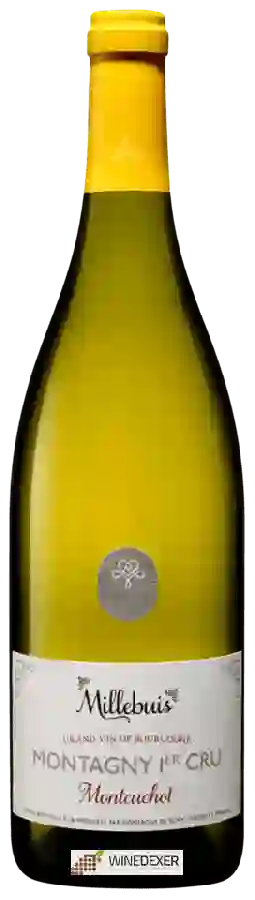 Winery Millebuis - Montagny 1er Cru 'Montcuchot'