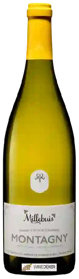 Winery Millebuis - Montagny