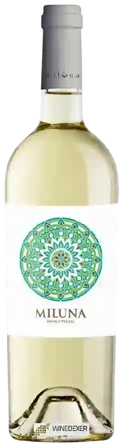 Winery Miluna - Bianco