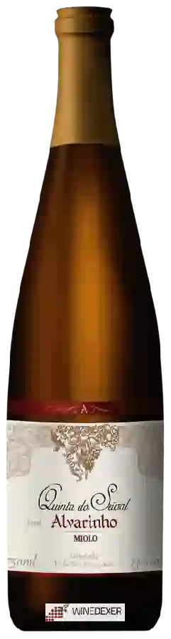 Winery Miolo - Quinta do Seival Estate Alvarinho