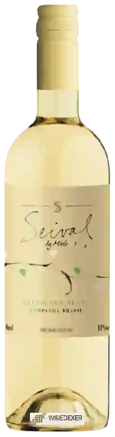 Winery Miolo - Seival Sauvignon Blanc