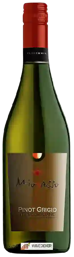 Winery Miopasso - Pinot Grigio Winery Miopasso - Pinot Grigio