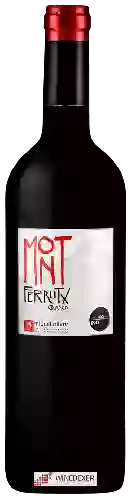 Winery Miquel Oliver - Mont Ferrutx