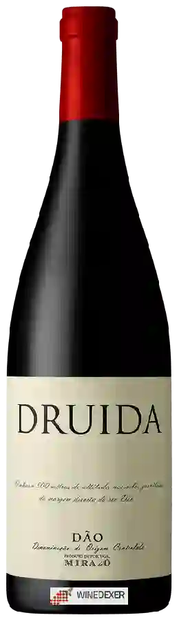 Winery Mira do Ó - Druida