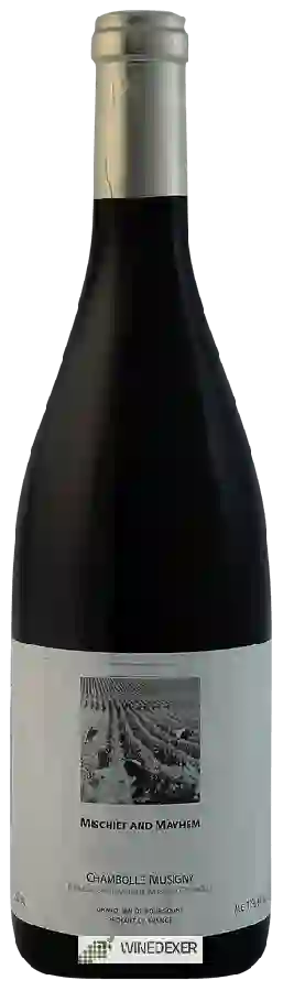 Winery Mischief and Mayhem - Chambolle-Musigny Winery Mischief and Mayhem - Chambolle-Musigny