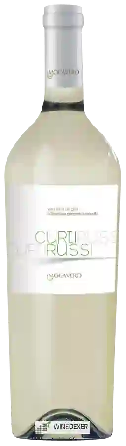 Mocavero - Curtirussi Verdeca