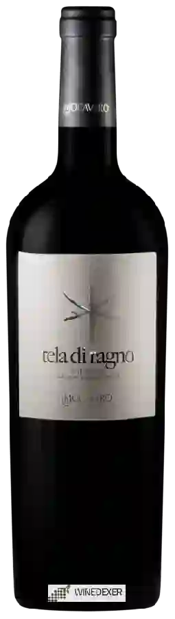 Mocavero - Tela di Ragno