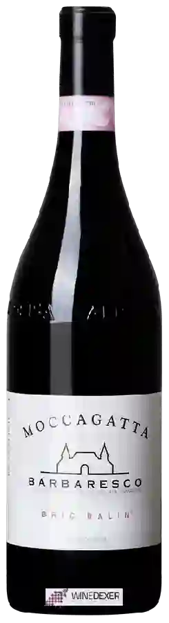Winery Moccagatta - Bric Balin Barbaresco