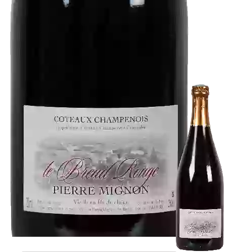 Winery Moët & Chandon - Coteaux Champenois