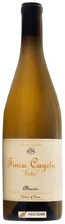 Winery Mog Selections - Finca Cayeta Estío Albariño
