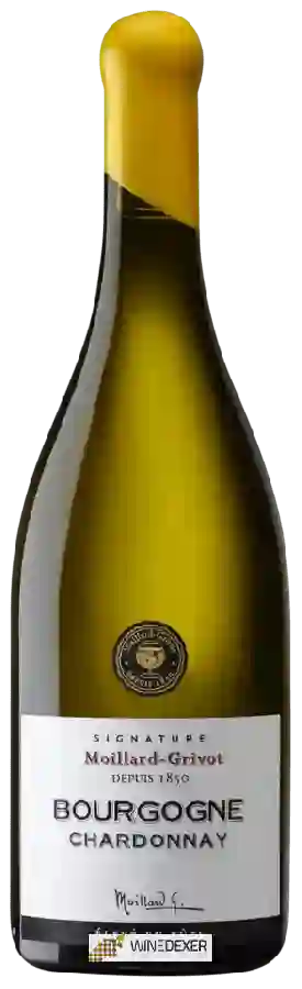Winery Moillard-Grivot - Signature Bourgogne Chardonnay