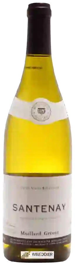 Winery Moillard-Grivot - Santenay Blanc Winery Moillard-Grivot - Santenay Blanc