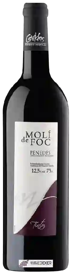 Winery Molí de Foc - Tinto