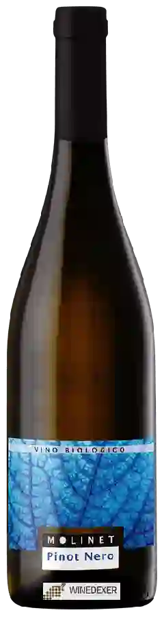 Winery Molinet - Pinot Nero Bianco
