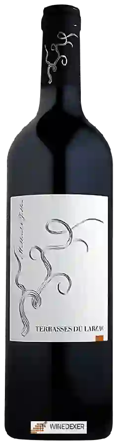 Winery Mollard & Fillon - Terrasses du Larzac