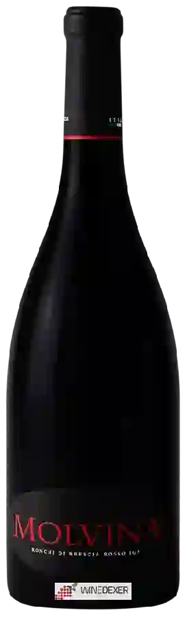 Winery Molvina - Rosso Winery Molvina - Rosso