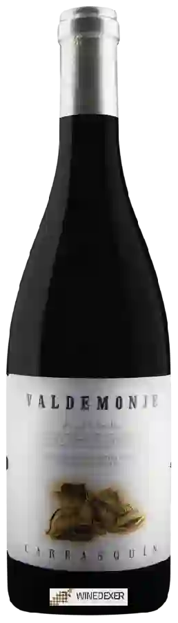 Bodega Monasterio de Corias - Valdemonje Carrasquín