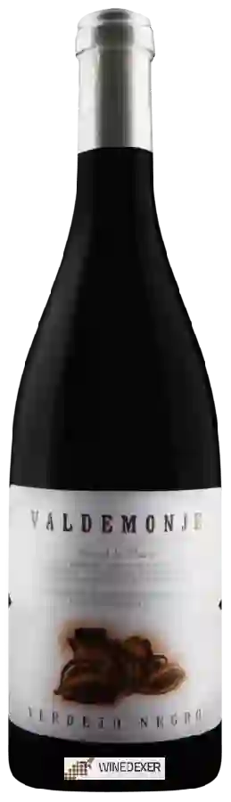 Bodega Monasterio de Corias - Valdemonje Verdejo Negro