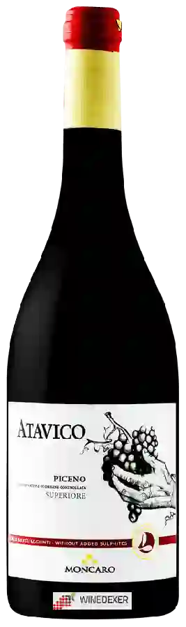 Winery Moncaro - Atavico Rosso Piceno Superiore
