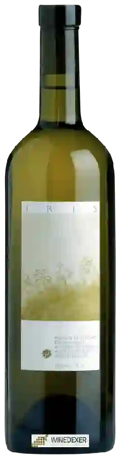 Winery Mondò Sementina - Iris