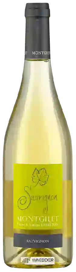 Domaine de Montgilet - Sauvignon