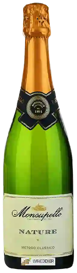 Winery Monsupello - Nature