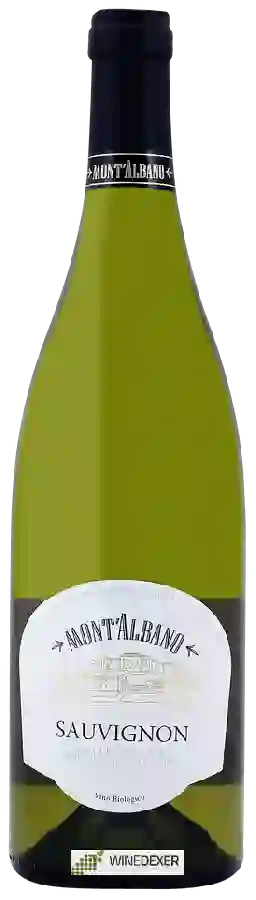Winery Mont'Albano - Sauvignon