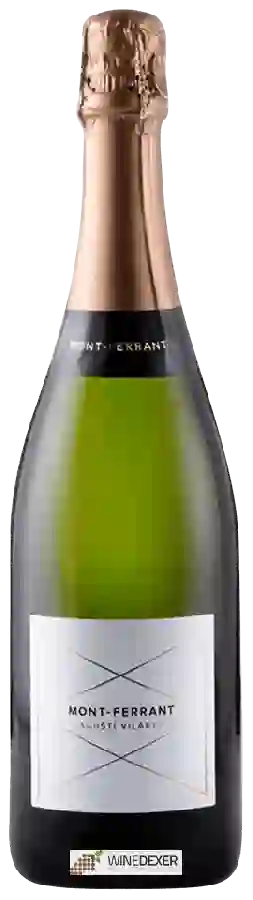 Winery Mont-Ferrant - AgustÍ Vilaret Winery Mont-Ferrant - AgustÍ Vilaret