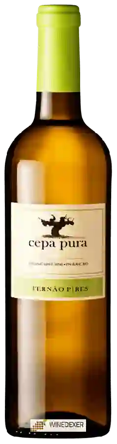 Winery Montalto - Cepa Pura Fernão Pires Winery Montalto - Cepa Pura Fernão Pires