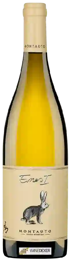 Winery Montauto - Enos I Winery Montauto - Enos I