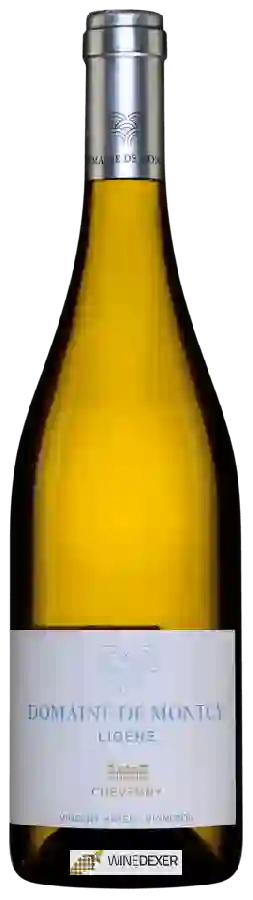 Domaine de Montcy - Ligère Cheverny Blanc Domaine de Montcy - Ligère Cheverny Blanc