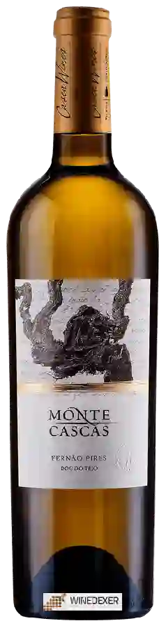 Winery Monte Cascas - Fernão Pires Winery Monte Cascas - Fernão Pires