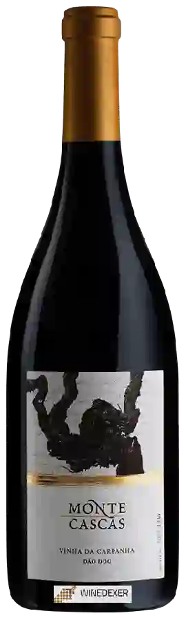 Winery Monte Cascas - Vinha da Carpanha
