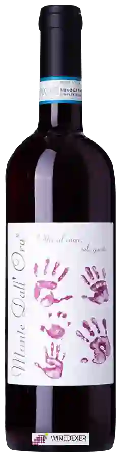 Winery Monte Dall'Ora - Saseti Valpolicella Classico