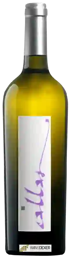 Winery Monte delle Vigne - Callas Winery Monte delle Vigne - Callas